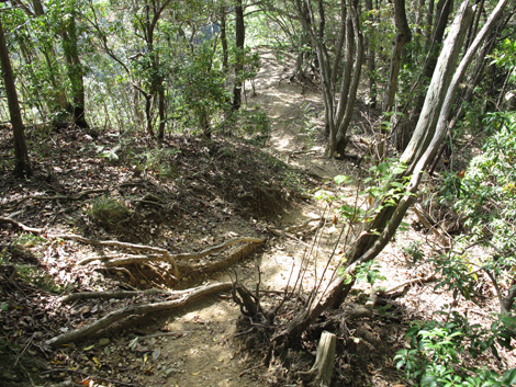 20151006hike (287)